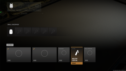 Equip a Lethal at the Loadout Screen