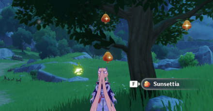 Genshin - How to Get Sunsettia