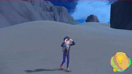 Picnic Item Farm Glitch, Second Step - Pokemon Scarlet and Violet (SV)