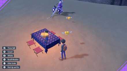 Picnic Item Farm Glitch, Sixth Step - Pokemon Scarlet and Violet (SV)