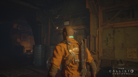 Callisto Protocol Frames Settings TCP Logo