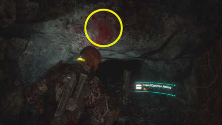 Follow the Blood.jpg