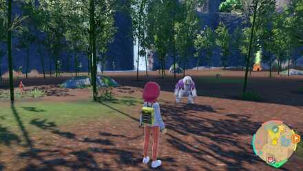 Bamboo Thicket Biome