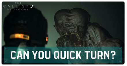 The Callisto Protocol Quick Turn Banner