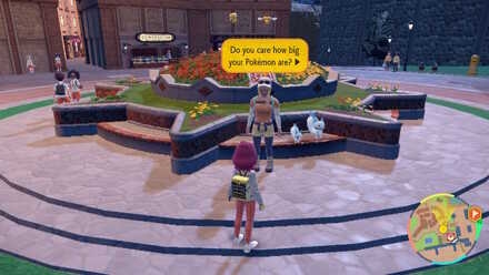 Measurement Lady Location in Mesagoza - Pokemon Scarlet and Violet (SV)