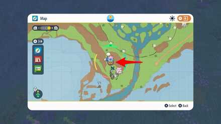 Trainer Icon in Minimap