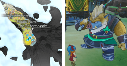 DQ Treasures - Training Camp: Intermediate