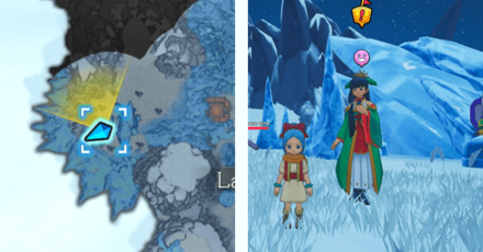 DQ Treasures - Princess Anemone