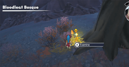 DQ Treasures - Detonuts