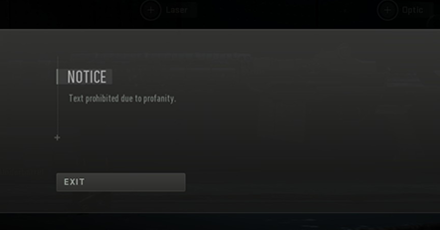 Modern Warfare 2 - Profanity Custom Mods