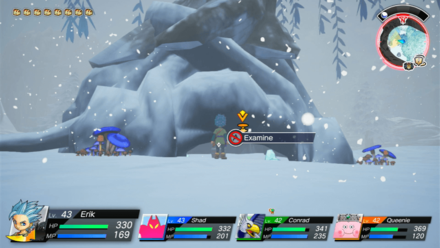 Highly Concentrated Curry