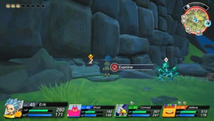 Distilled Wonderwater