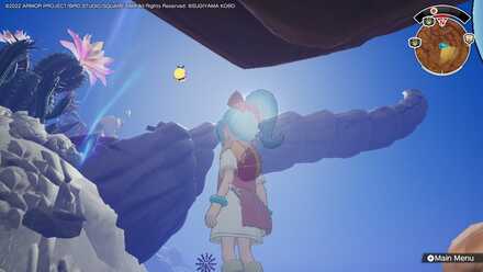 Balloon 35 World Location