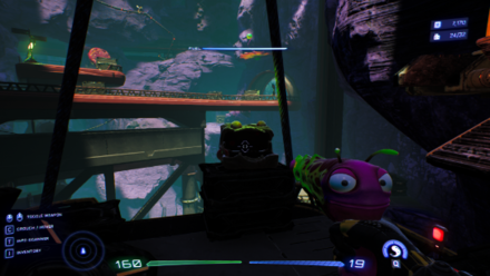 High on Life - Upper Valley Luglox Number 14