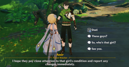 Genshin - Open World Match - Amir