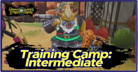 DQ Treasures - Training Camp Intermediate