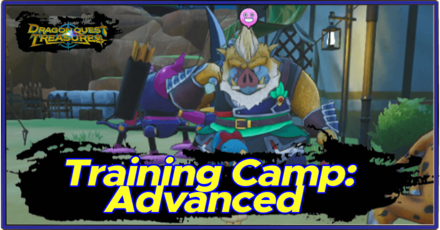 DQ Treasures - Training Camp Advanced