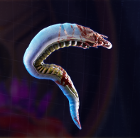 High on Life - Douglas