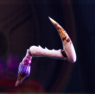 High on Life - 9-Torg