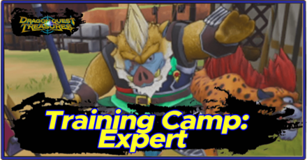 DQ Treasures - Training Camp Expert