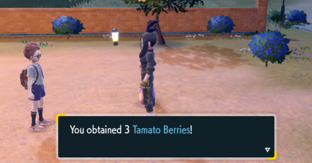Pokemon Scarlet and Violet - Tamato Berry reward from Alfornada Gym Test