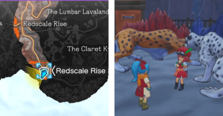 DQ Treasures - Special Training