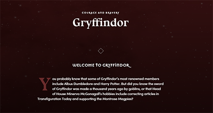 Hogwarts Legacy - Sorting Hat Questions Result