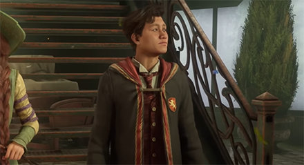 Hogwarts Legacy - House Robes