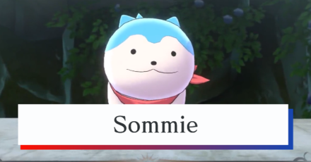 Sommie
