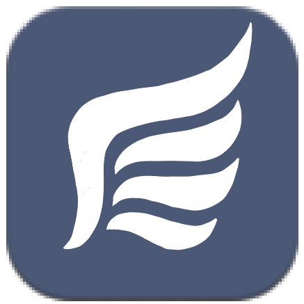 Fire Emblem Engage Flying