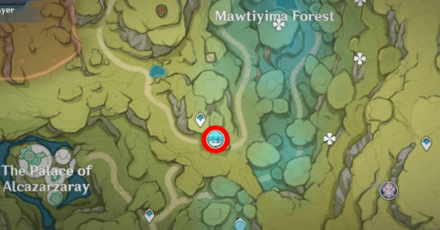 Fungus Location