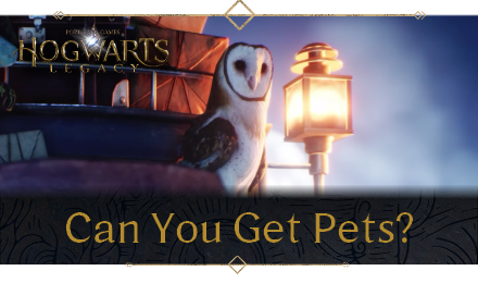 Pets Arrive in Harry Potter: Hogwarts Mystery!