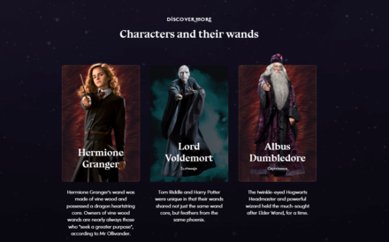 Hogwarts Legacy - Elder Wand Users