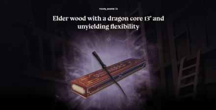 Hogwarts Legacy - Elder Wood Wand