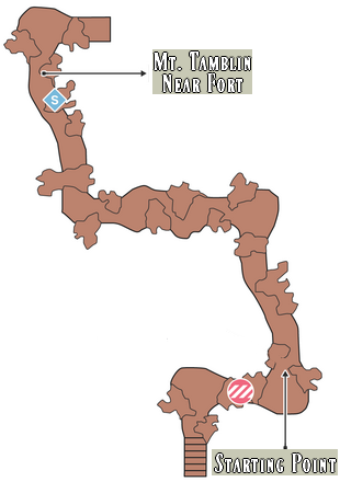 Mt. Tamblin - Mountain Path
