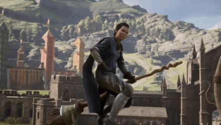 Hogwarts Legacy - Unnamed Flying Professor