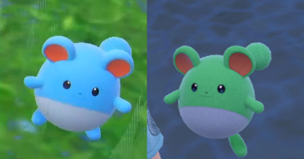 Pokemon Scarlet and Violet - Marill difference.png