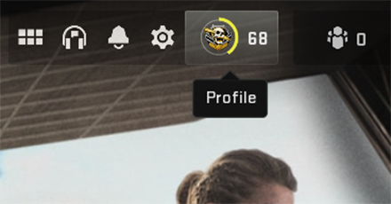 Modern Warfare 2 - Select Profile to Appear Offline for Battlenet