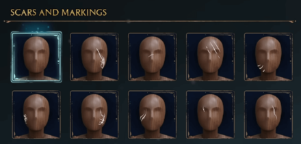 Hogwarts Legacy - Scars and Markings