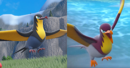 Pokemon Scarlet and Violet SV - Kilowattrel Difference
