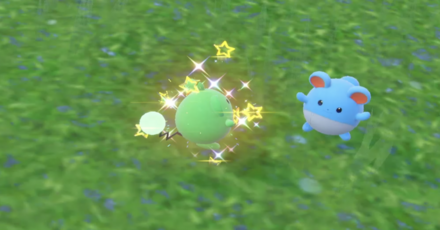 Pokemon Scarlet and Violet SV - Shiny Marill