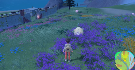 Pokemon Scarlet and Violet SV North Province (Area Three) Overworld Location, size440x248