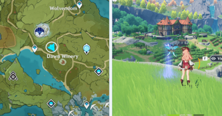 Genshin - Viewpoint in Dawn Winery