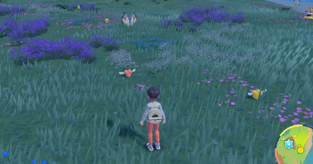 Pokemon Scarlet and Violet SV North Province (Area Three) Overworld Location, size440x248