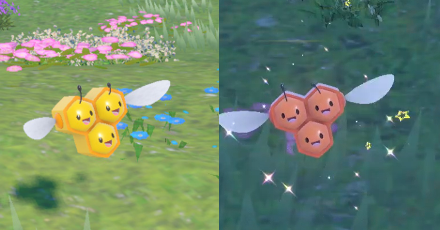 Pokemon Scarlet and Violet - Combee Difference
