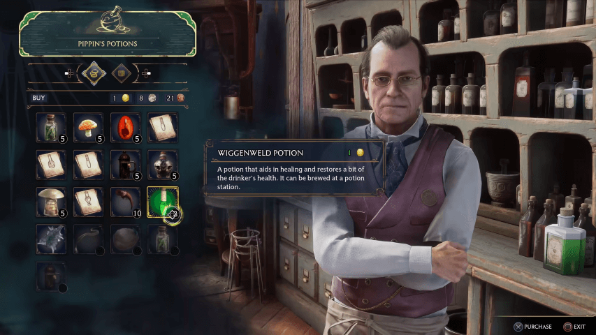 Hogwarts Legacy - Pippins Potions