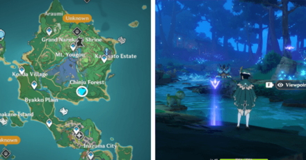 Genshin - Viewpoint in Chinju Forest