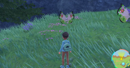 Pokemon Scarlet and Violet SV North Province (Area Three) Overworld Location, size440x248