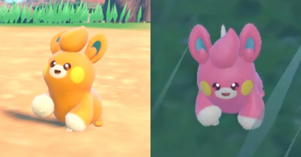 Pokemon Scarlet and Violet SV - Pawmi Difference