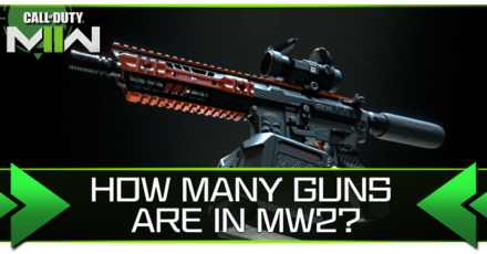 Modern Warfare 2 - How Many Guns Banner